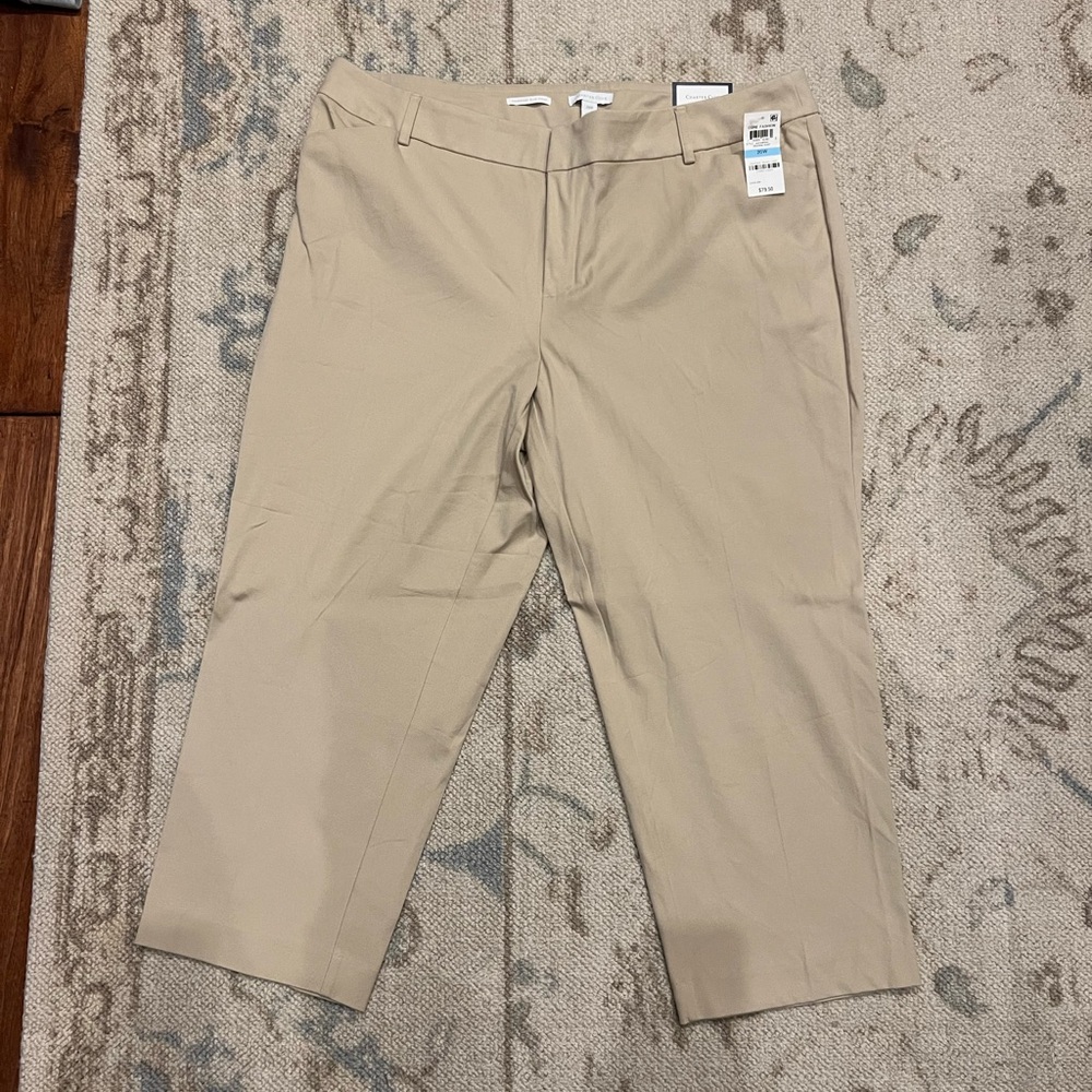 NWT Charter Club, 20W